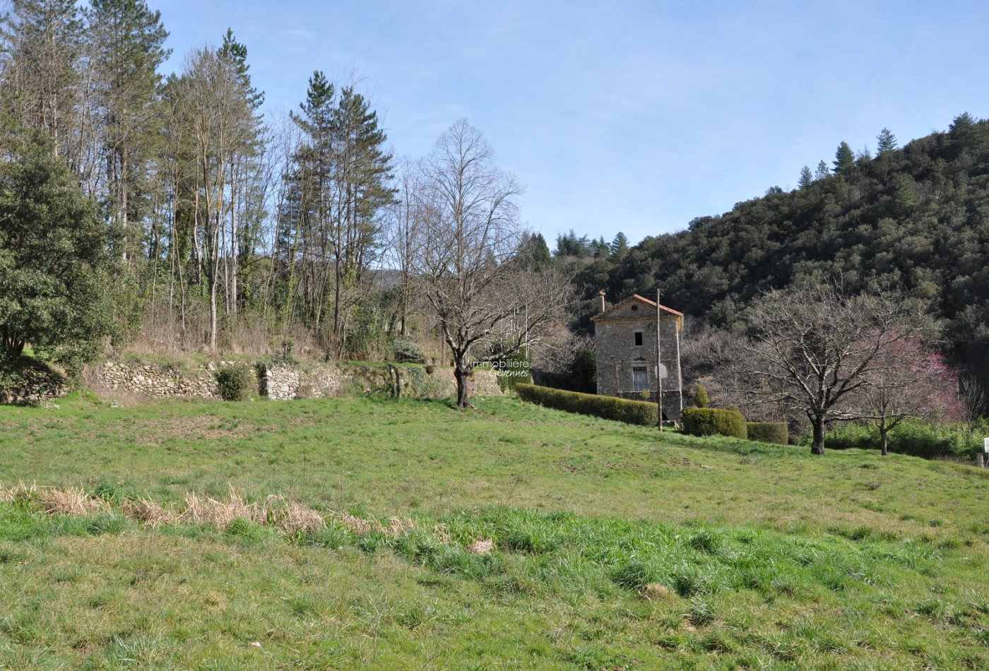 vente Maison Saint Andre De Majencoules - Photo 3