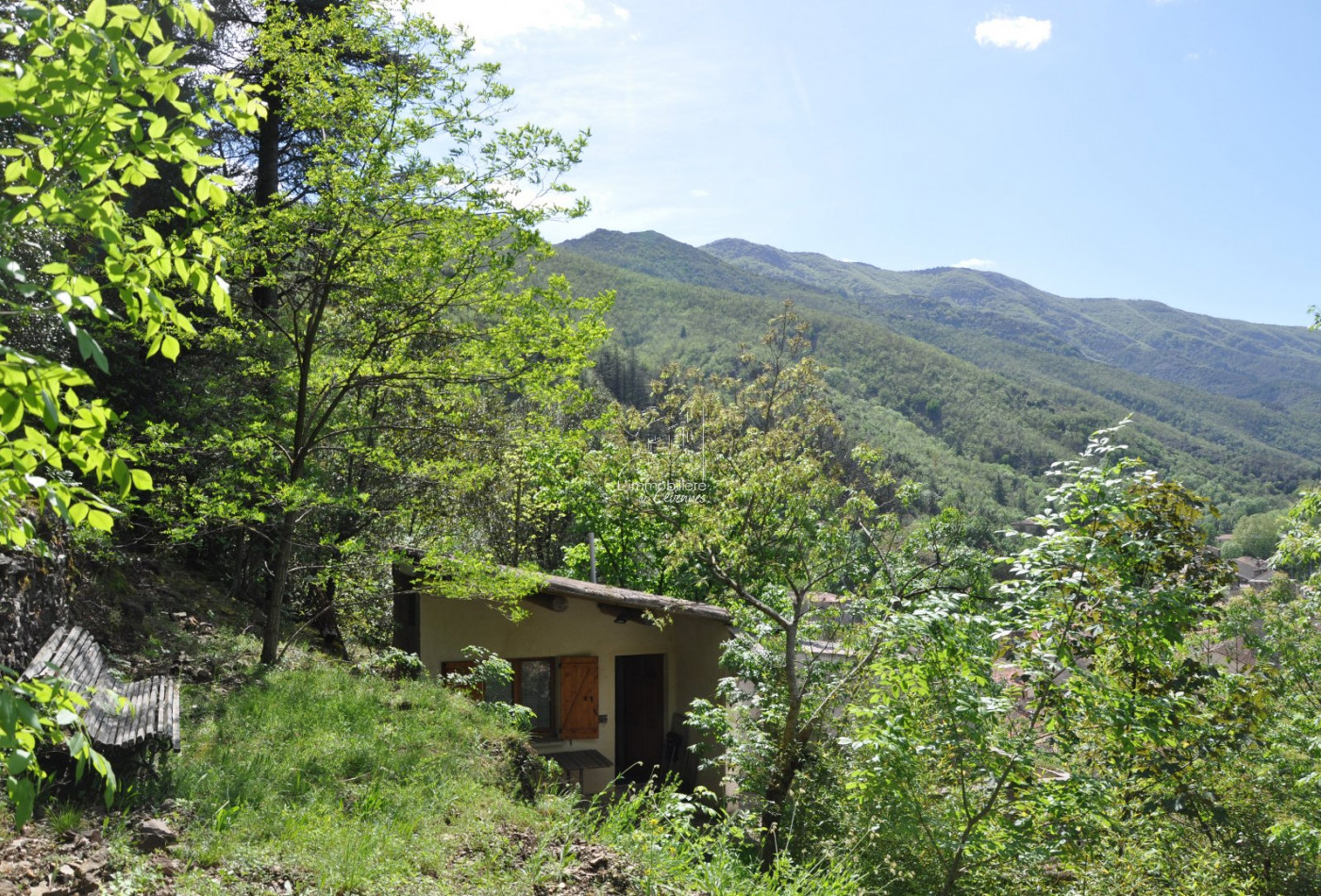 vente Maison Valleraugue - Photo 3