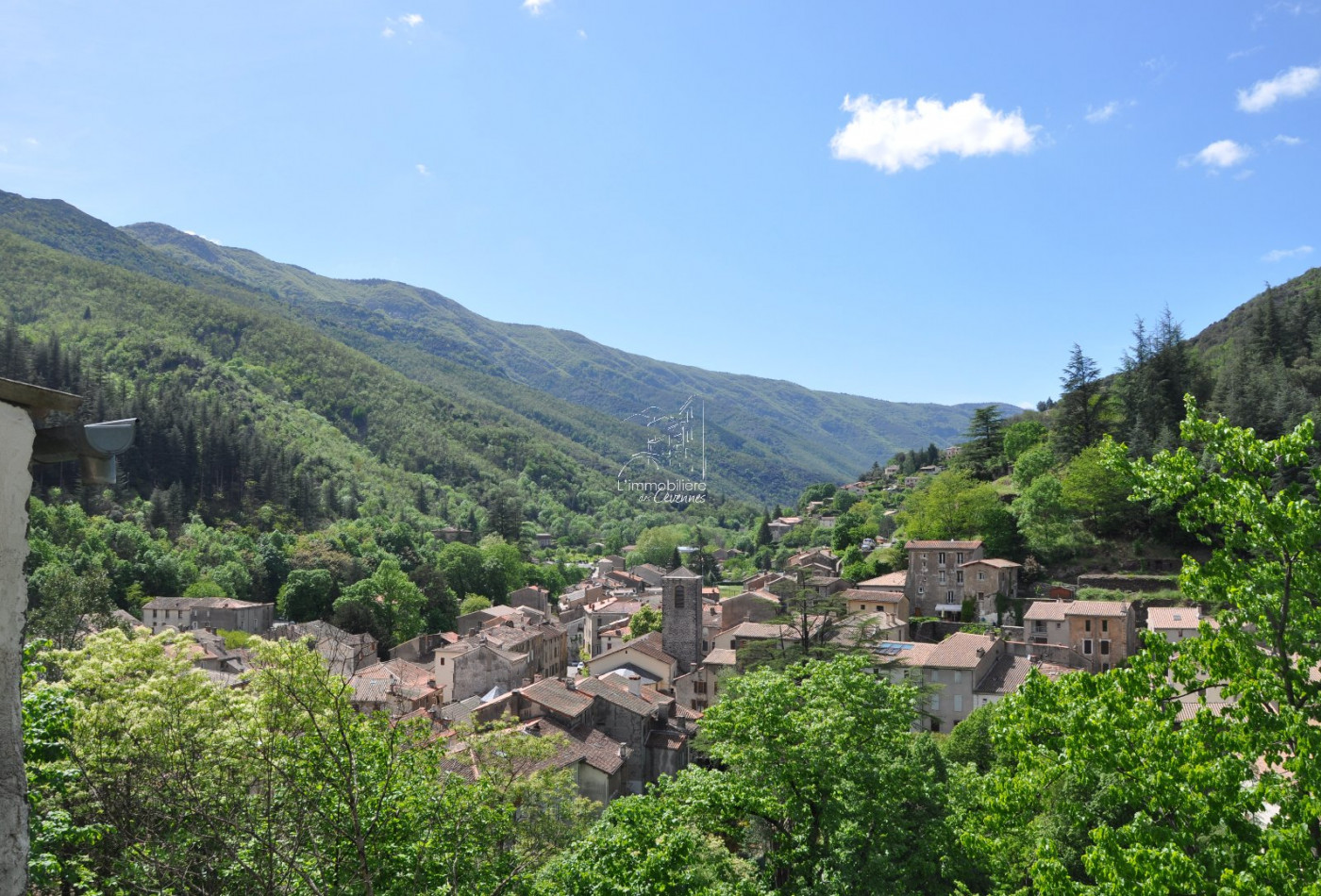 vente Maison Valleraugue - Photo 9