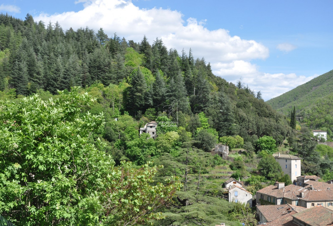 vente Maison Valleraugue - Photo 1
