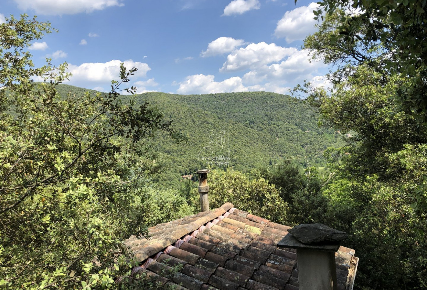 vente Mazet Saint Andre De Majencoules - Photo 3