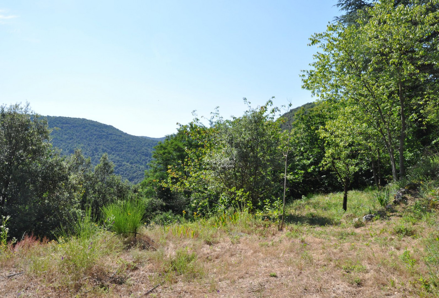 vente Mazet Saint Andre De Majencoules - Photo 9