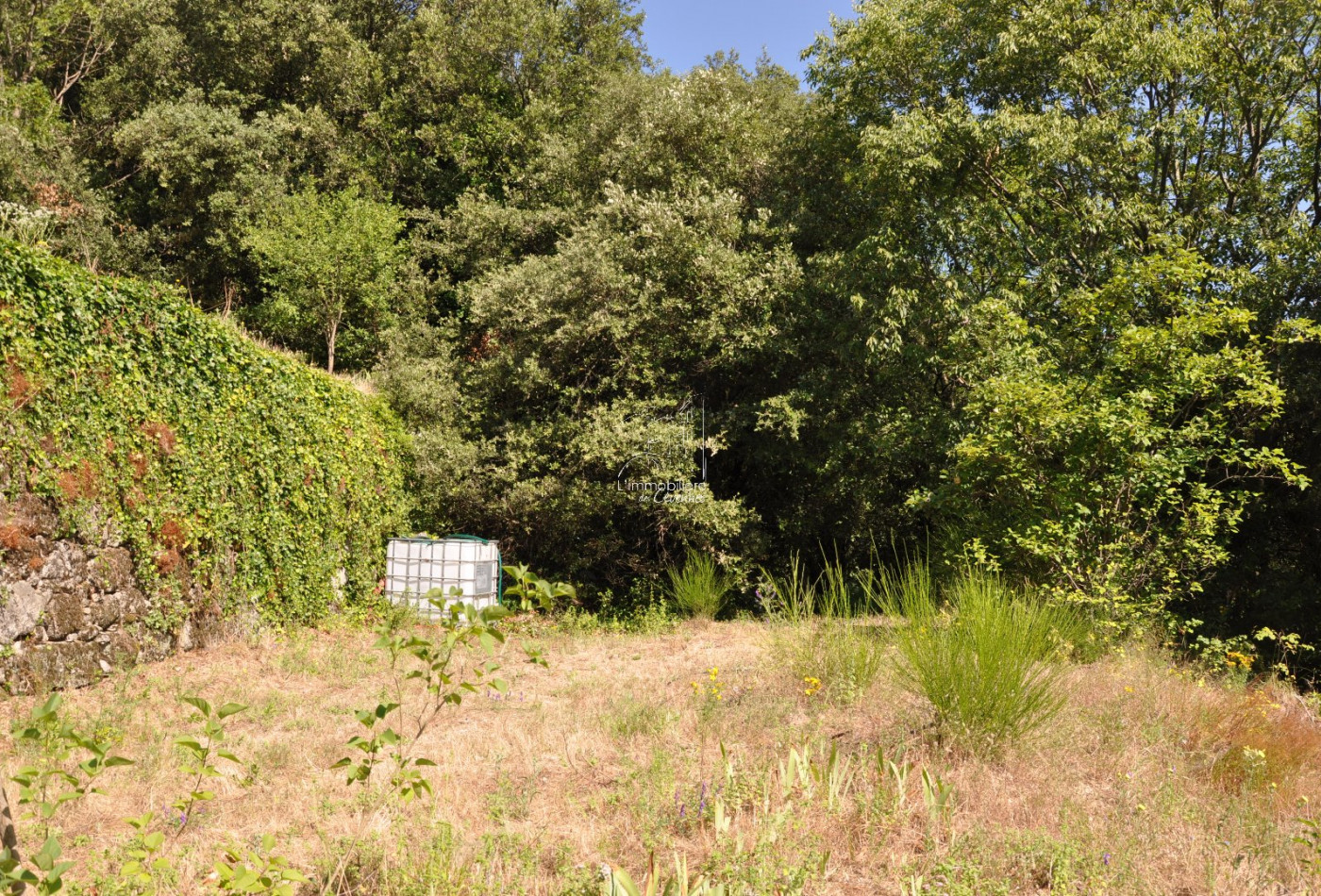 vente Mazet Saint Andre De Majencoules - Photo 10