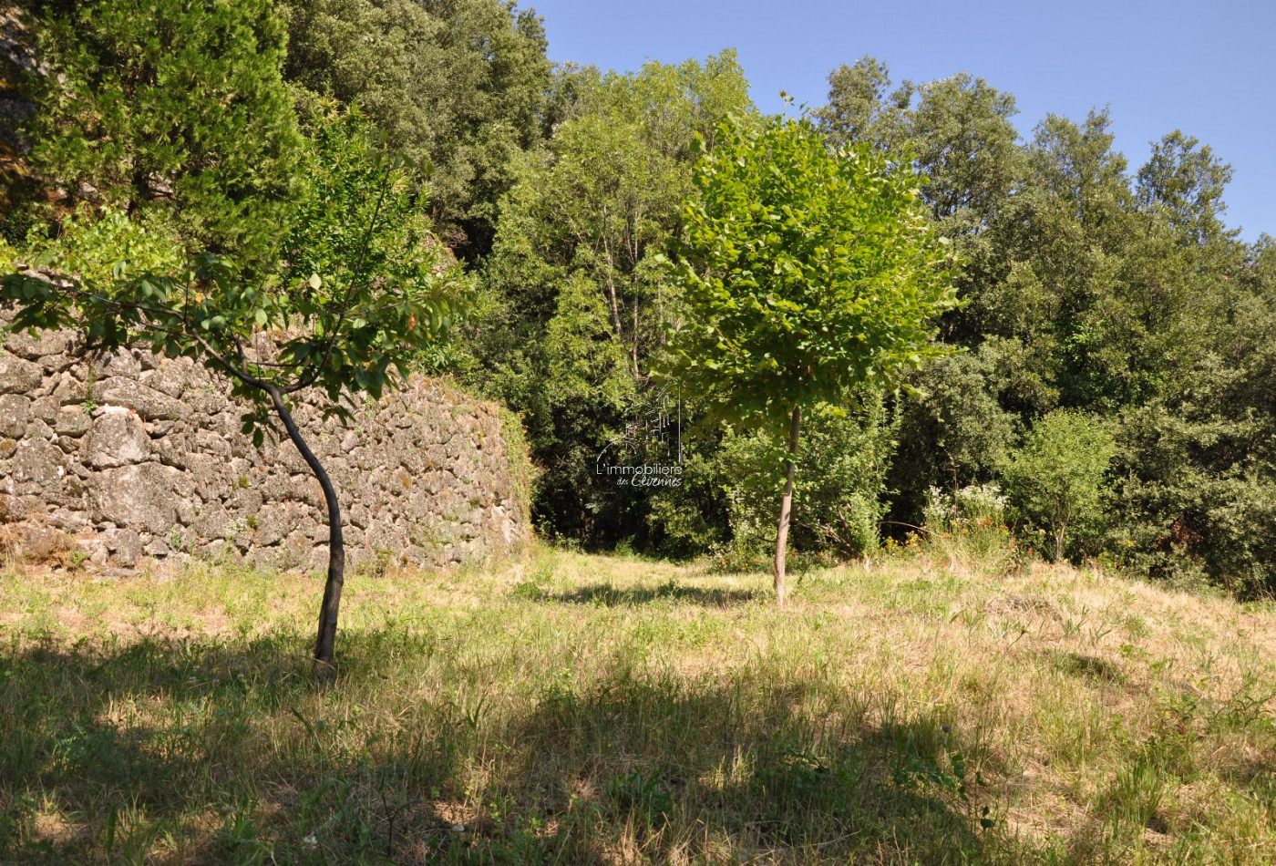 vente Mazet Saint Andre De Majencoules - Photo 8