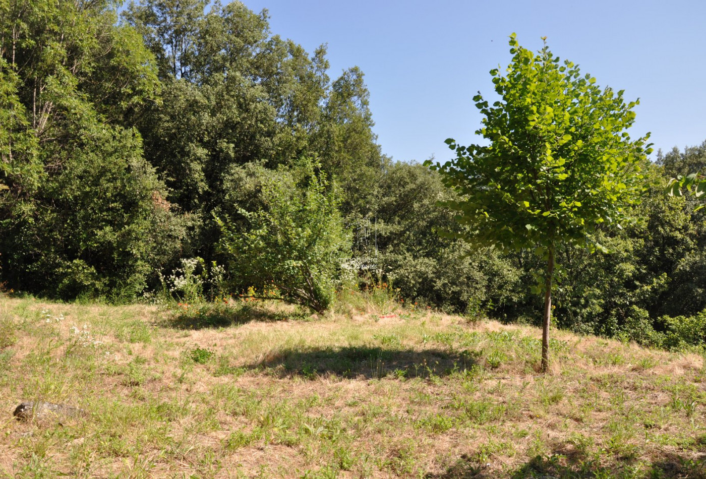 vente Mazet Saint Andre De Majencoules - Photo 7