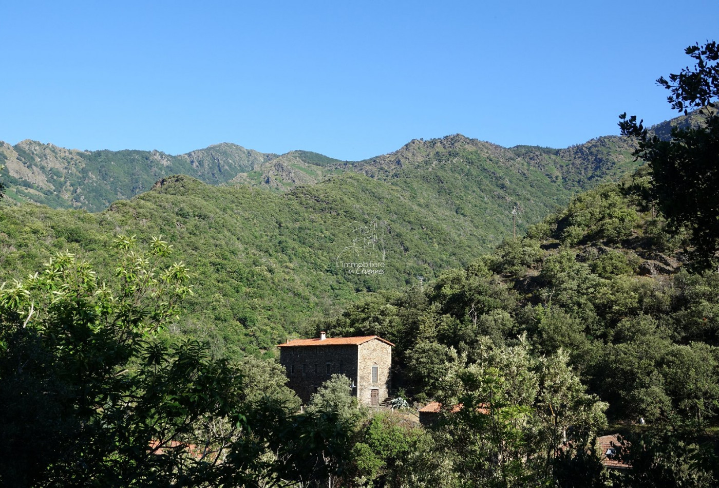 vente Maison Valleraugue - Photo 1