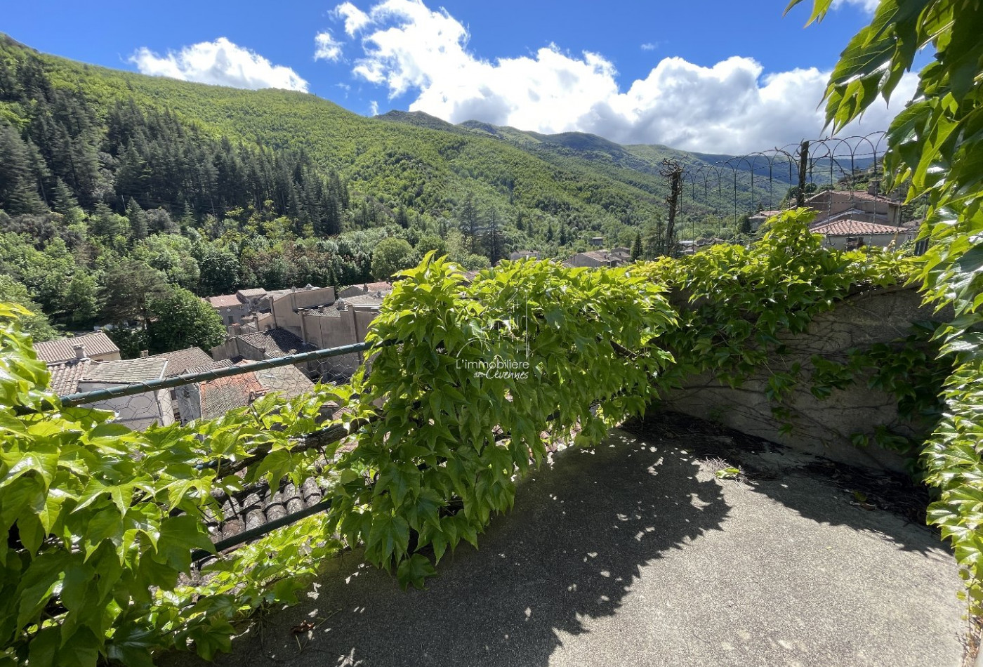 vente Maison Valleraugue - Photo 4