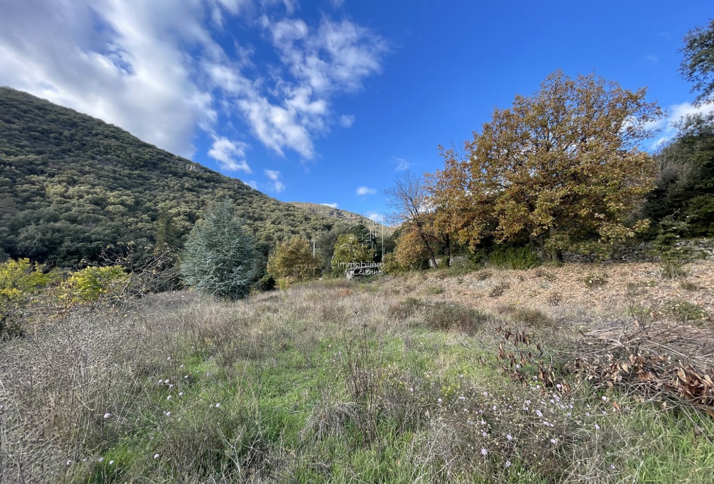 vente Terrain constructible Saint Andre De Majencoules - Photo 4