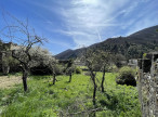 vente Maison Valleraugue
