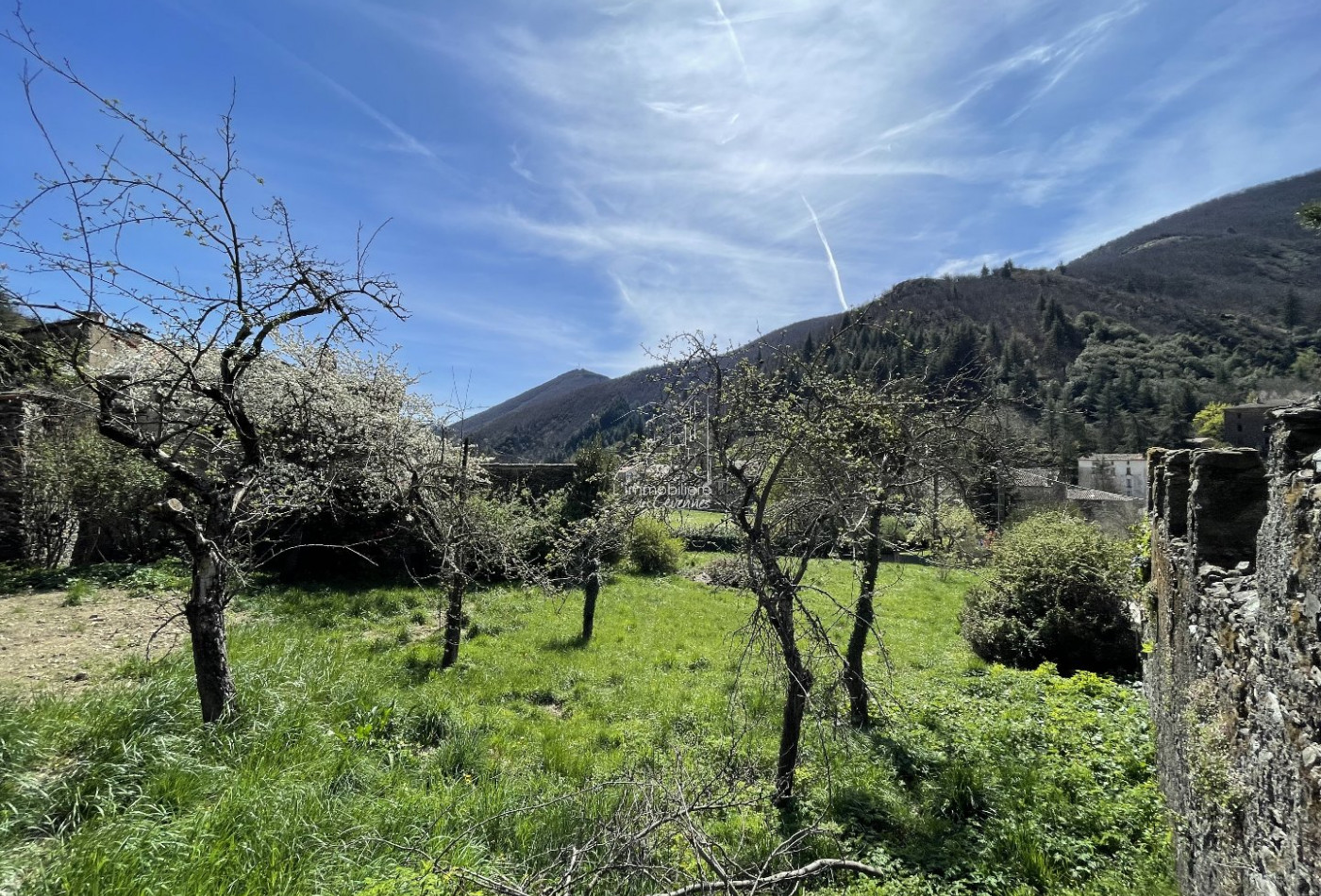 vente Maison Valleraugue - Photo 5