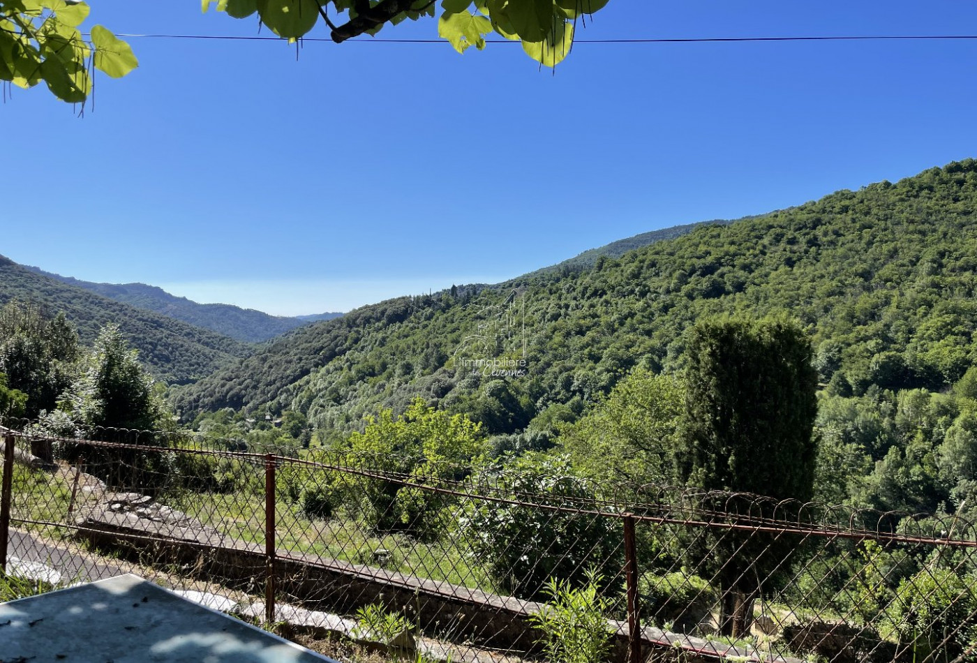 sale Maison Saint Andre De Valborgne - Photo 1