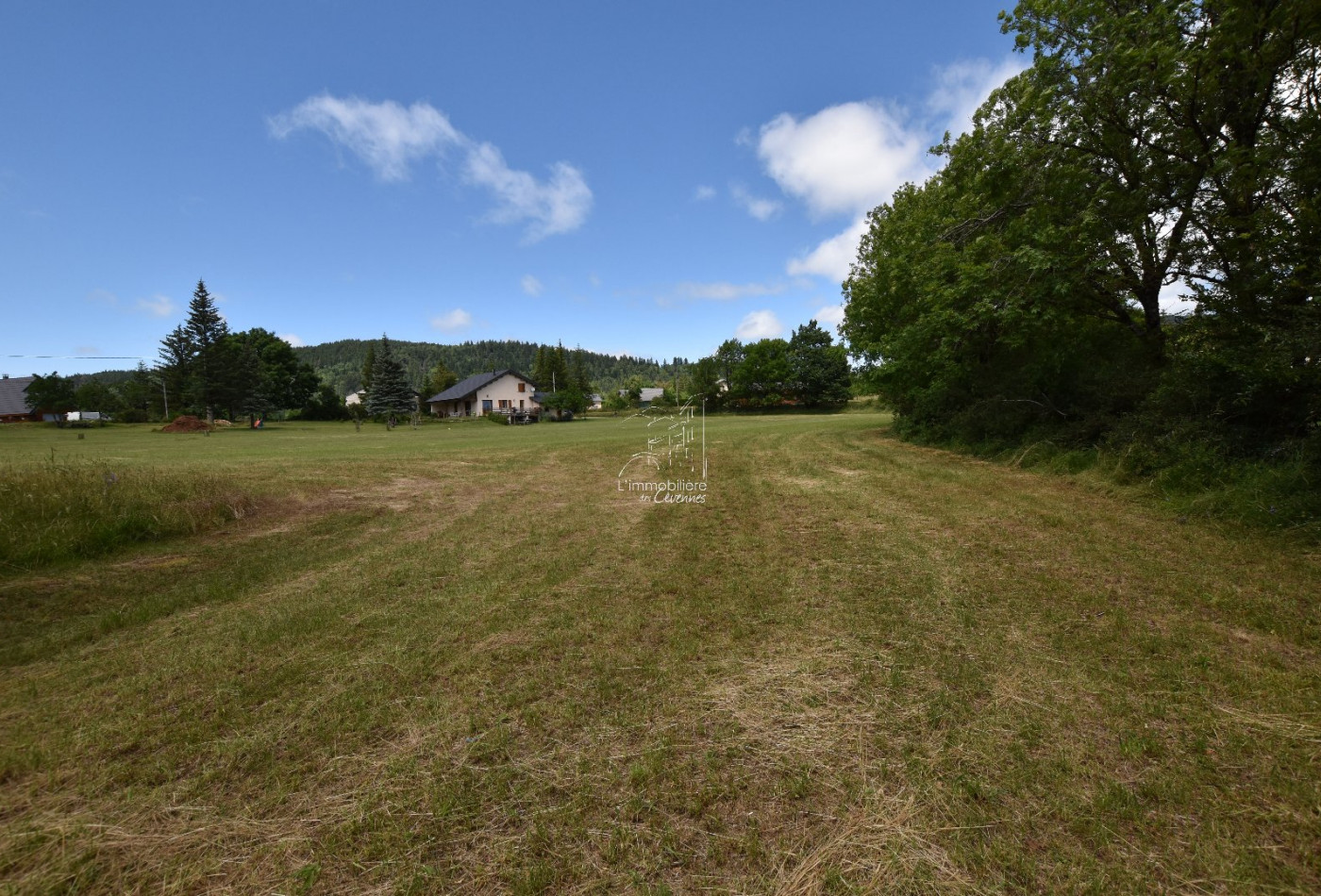 vente Terrain constructible Saint Sauveur Camprieu - Photo 3