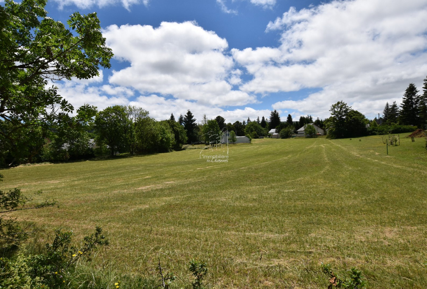 vente Terrain constructible Saint Sauveur Camprieu - Photo 5