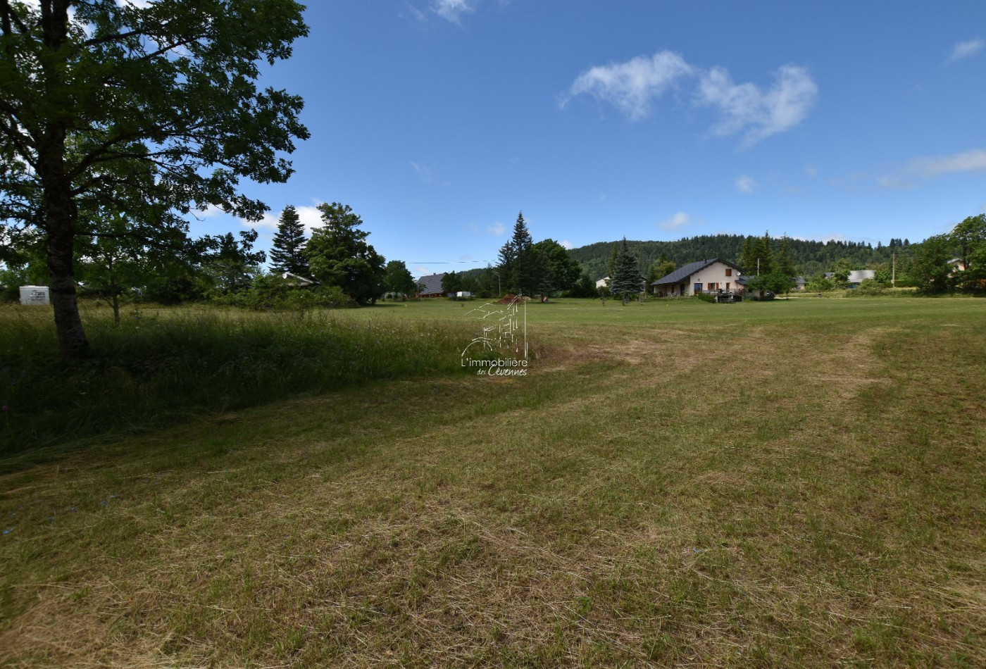 vente Terrain constructible Saint Sauveur Camprieu - Photo 8