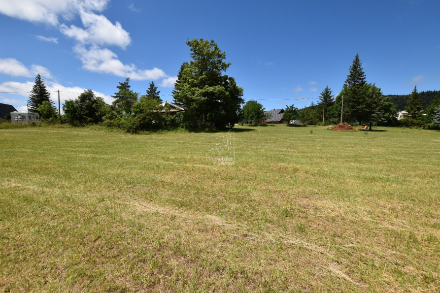 vente Terrain constructible Saint Sauveur Camprieu - Photo 9