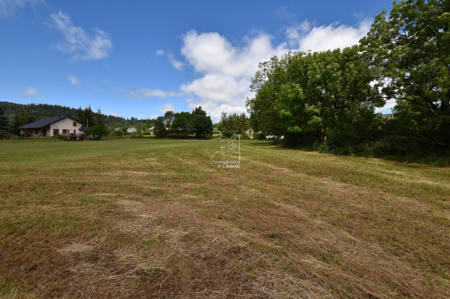 vente Terrain constructible Saint Sauveur Camprieu - Photo 9