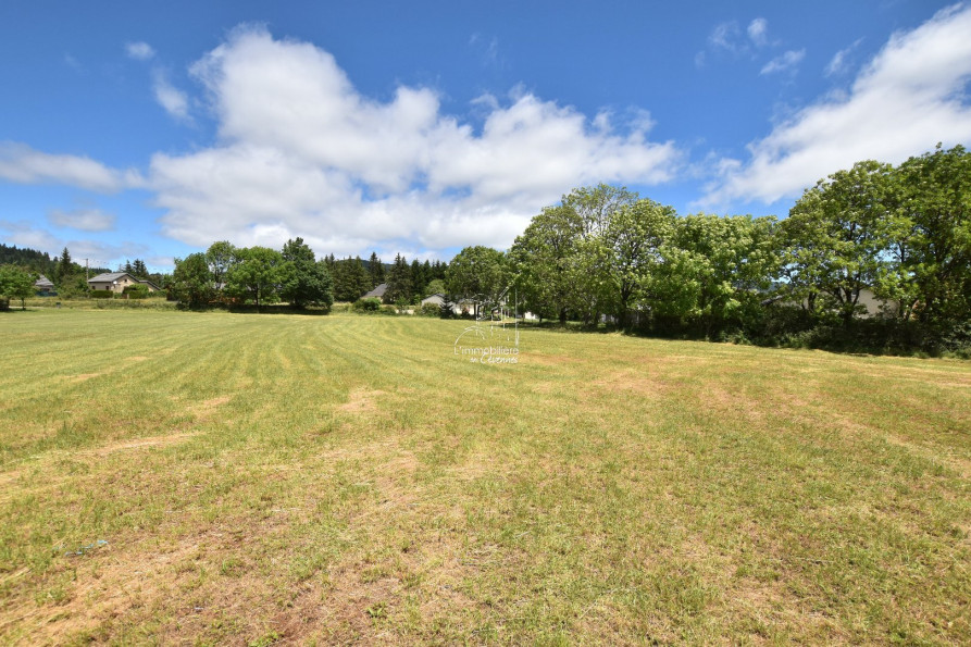 vente Terrain constructible Saint Sauveur Camprieu - Photo 5