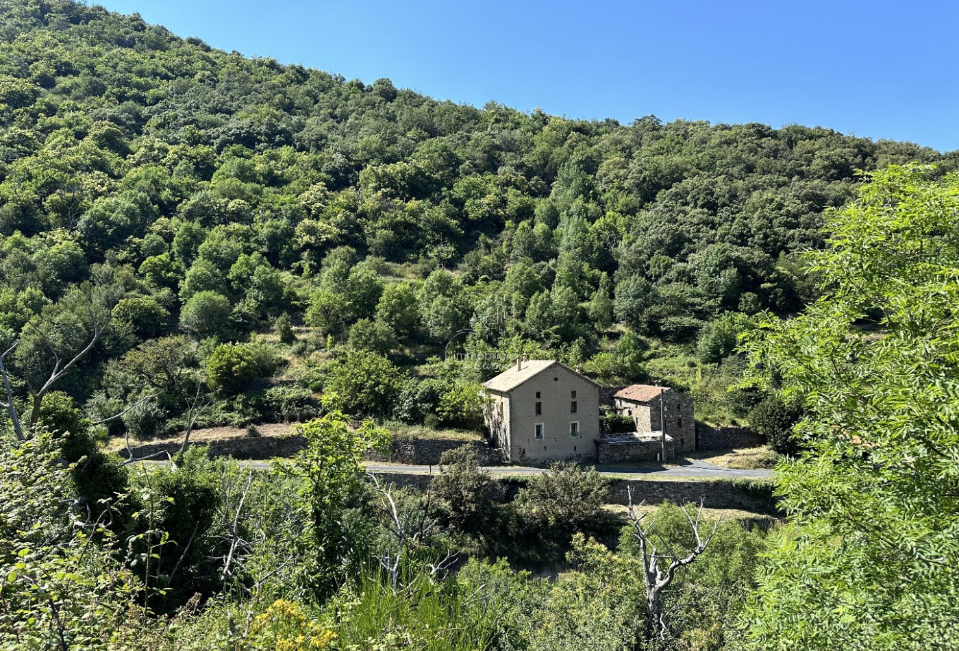 vente Maison Valleraugue - Photo 1
