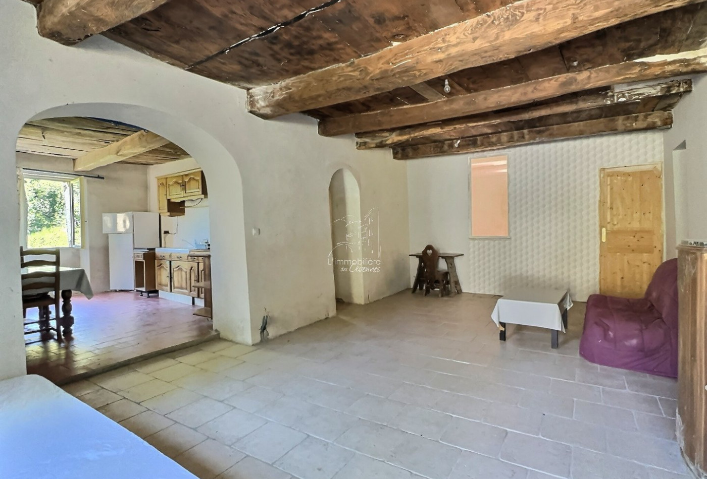 vente Maison Valleraugue - Photo 5