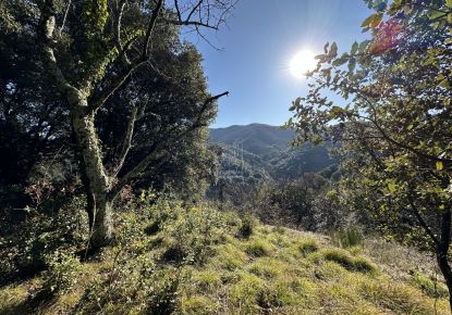 vente Terrain Notre Dame De La Rouviere
