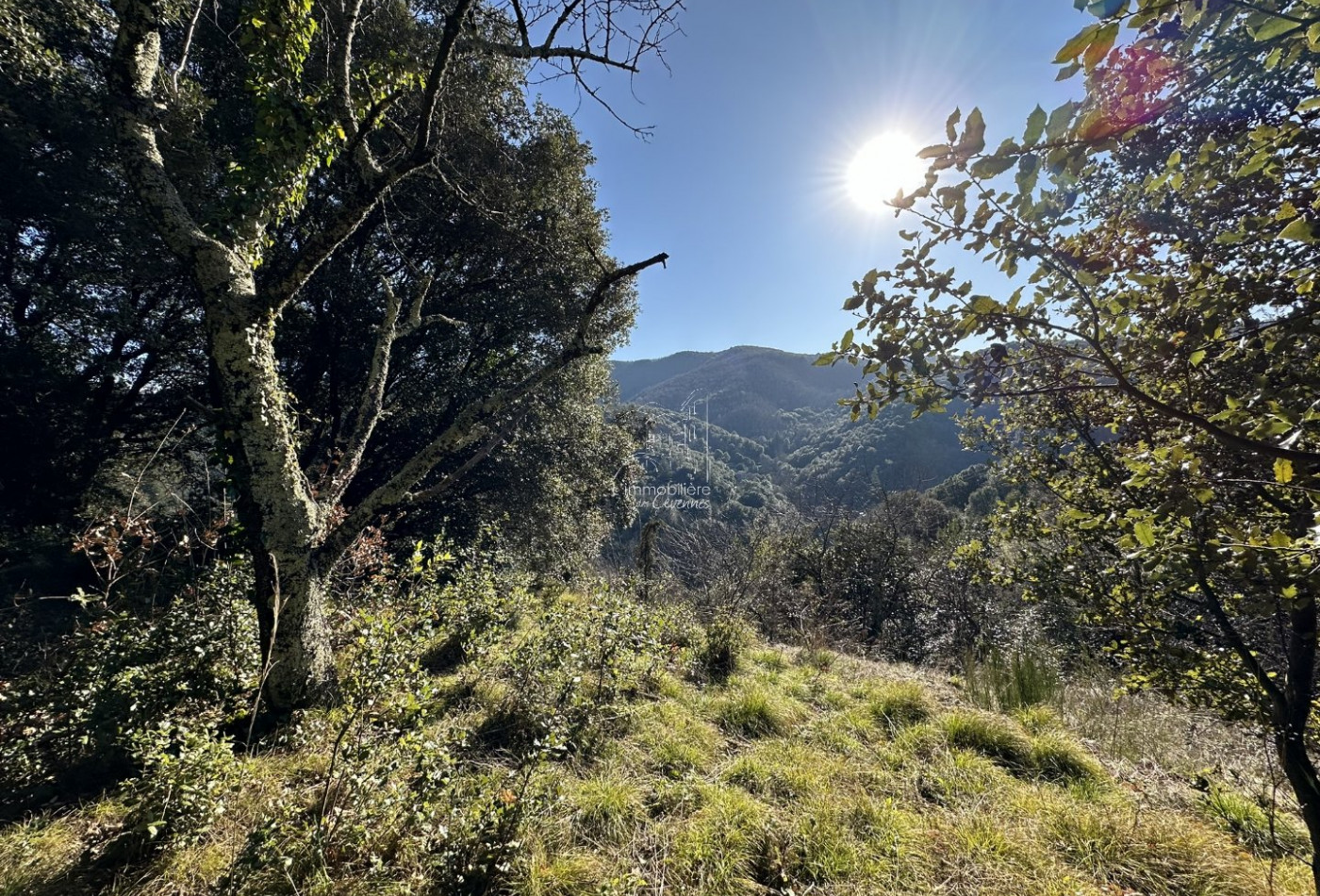 vente Terrain Notre Dame De La Rouviere - Photo 1