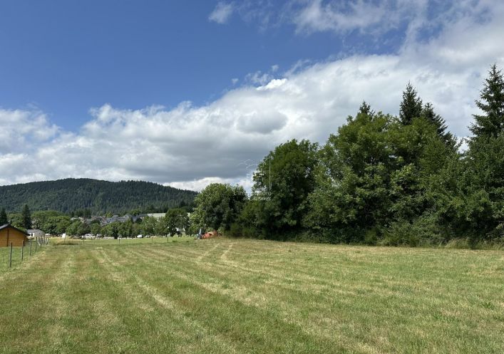 vente Terrain Saint Sauveur Camprieu