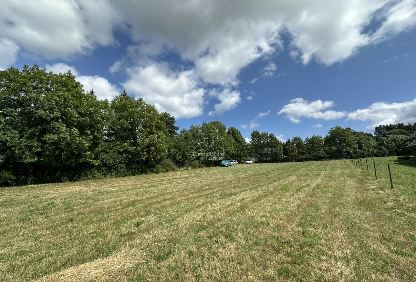 vente Terrain Saint Sauveur Camprieu - Photo 4