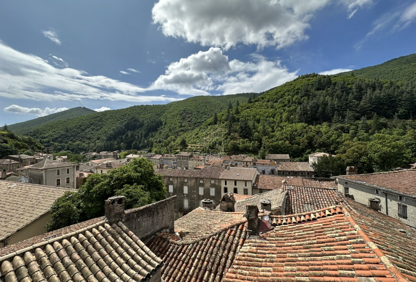 vente Maison Valleraugue - Photo 4