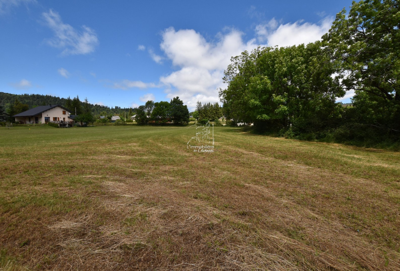 sale Terrain constructible Saint Sauveur Camprieu - Photo 3