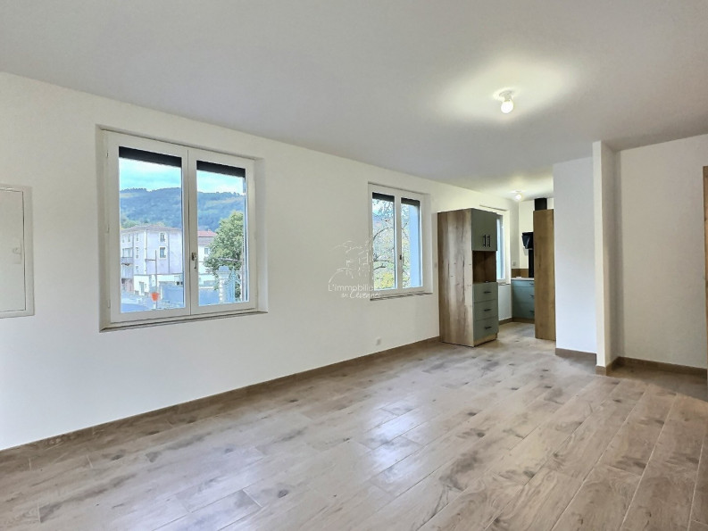 location Appartement Le Vigan - Photo 1