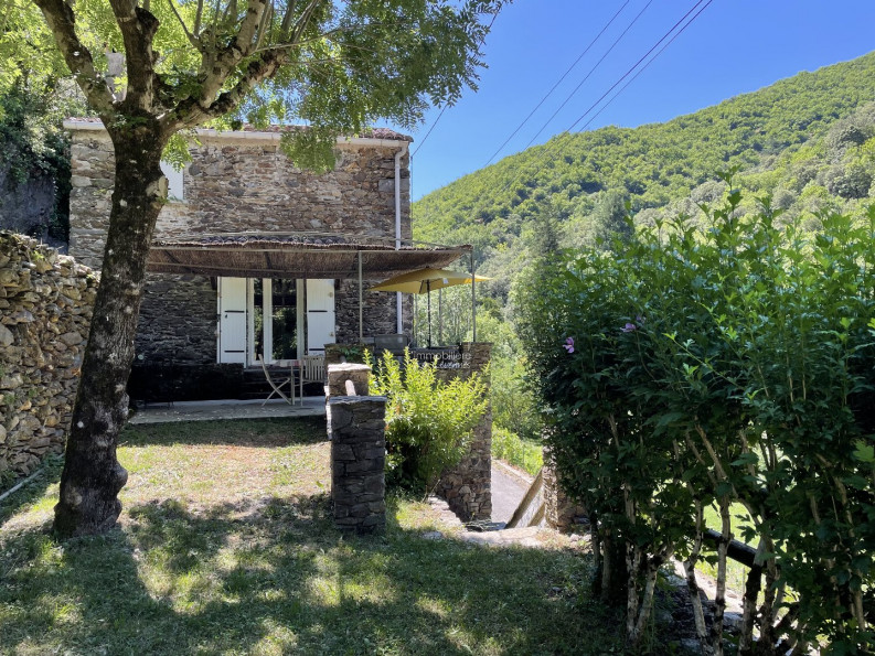 vente Maison Valleraugue - Photo 1
