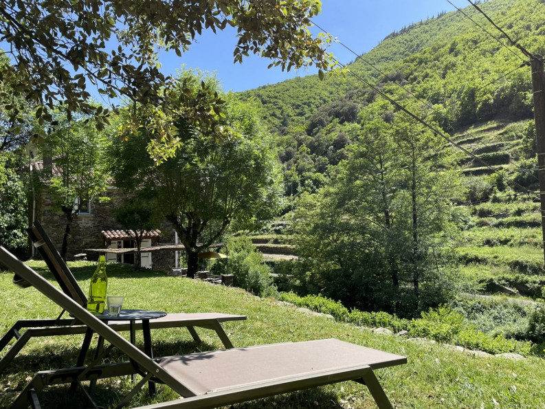 vente Maison Valleraugue - Photo 2