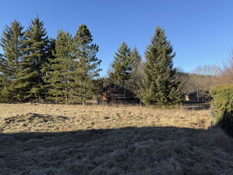 vente Terrain constructible Saint Sauveur Camprieu - Photo 8