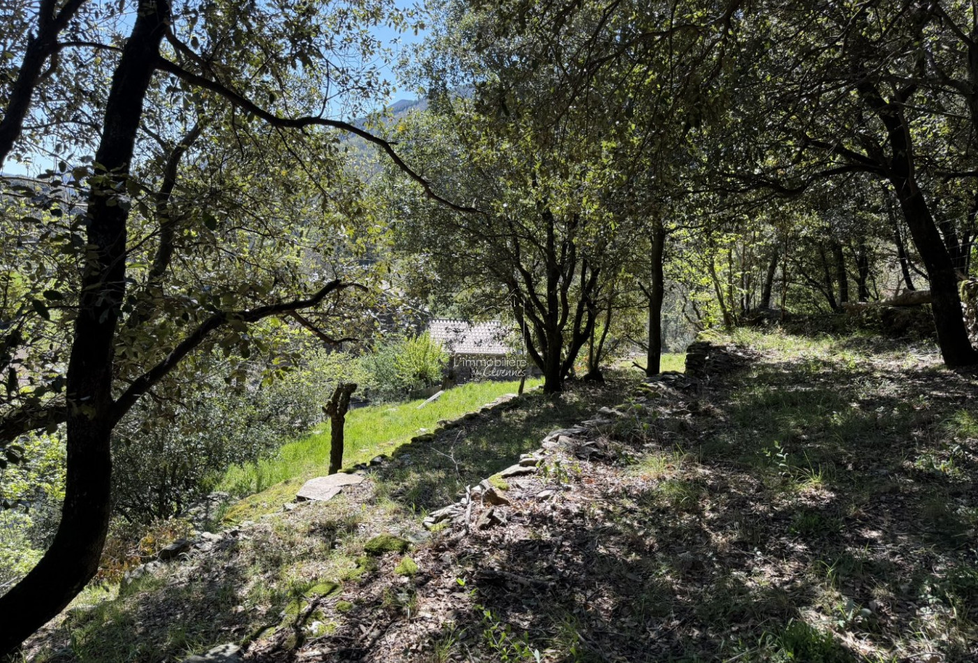 vente Maison Val D'aigoual - Photo 10