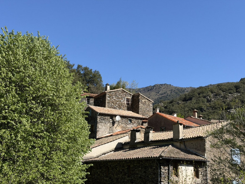 vente Maison Val D'aigoual - Photo 4