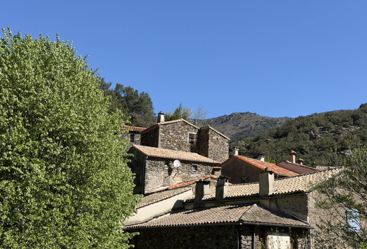 vente Maison Val D'aigoual - Photo 3