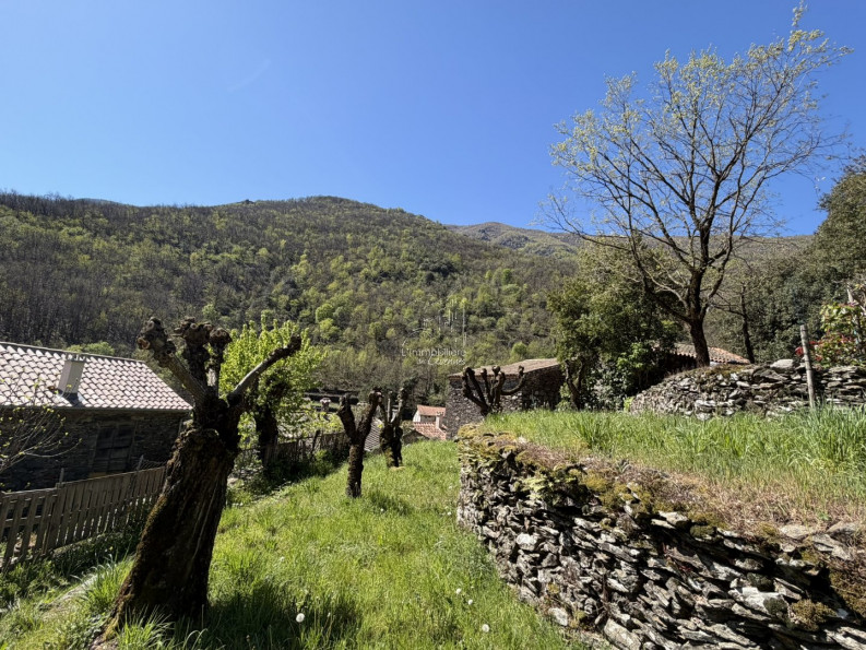vente Maison Val D'aigoual - Photo 5