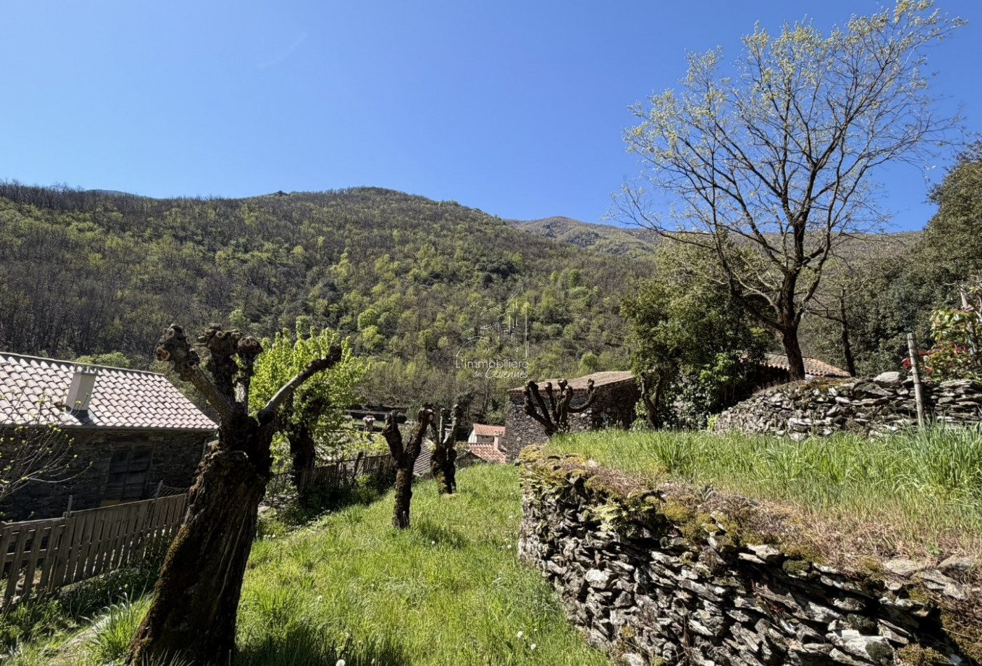 vente Maison Val D'aigoual - Photo 4