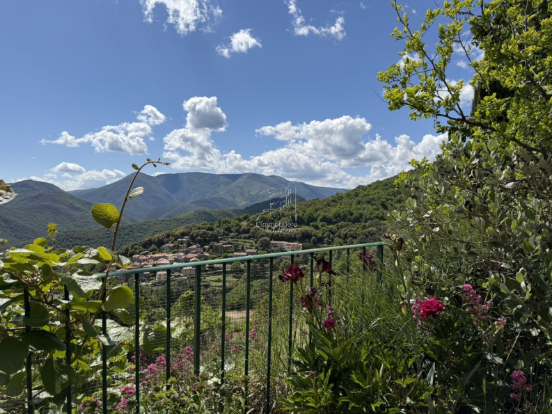 vente Maison Val D'aigoual - Photo 2