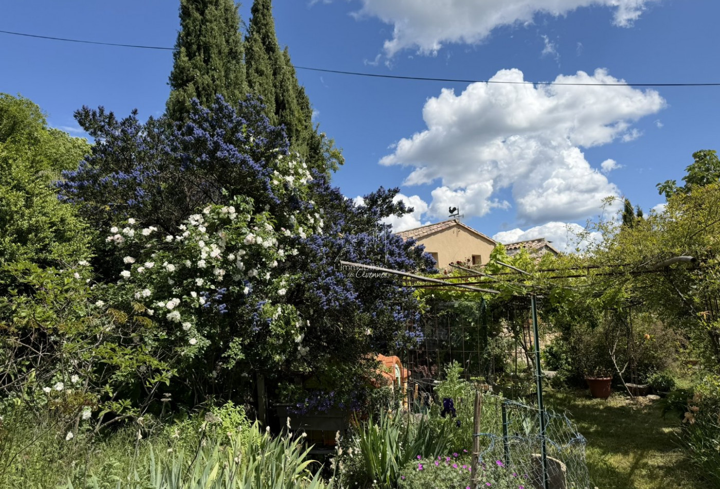 vente Maison Val D'aigoual - Photo 2
