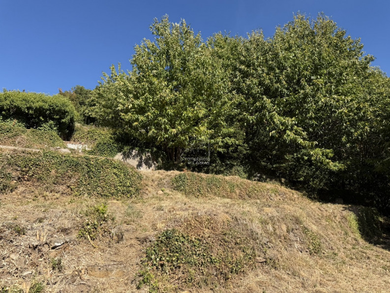 vente Terrain constructible Val D'aigoual - Photo 8