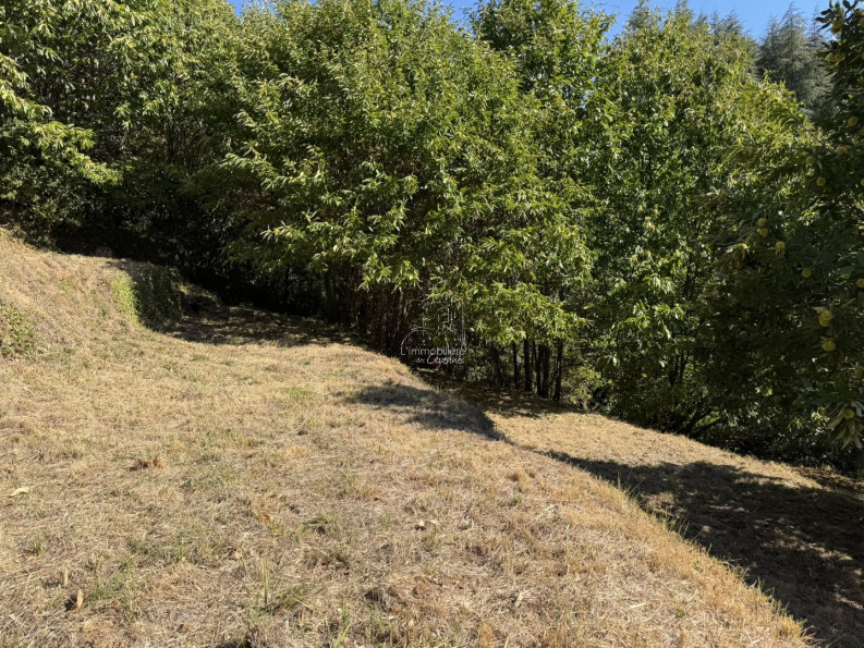 vente Terrain constructible Val D'aigoual - Photo 9
