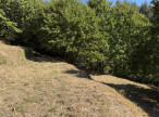 vente Terrain constructible Val D'aigoual