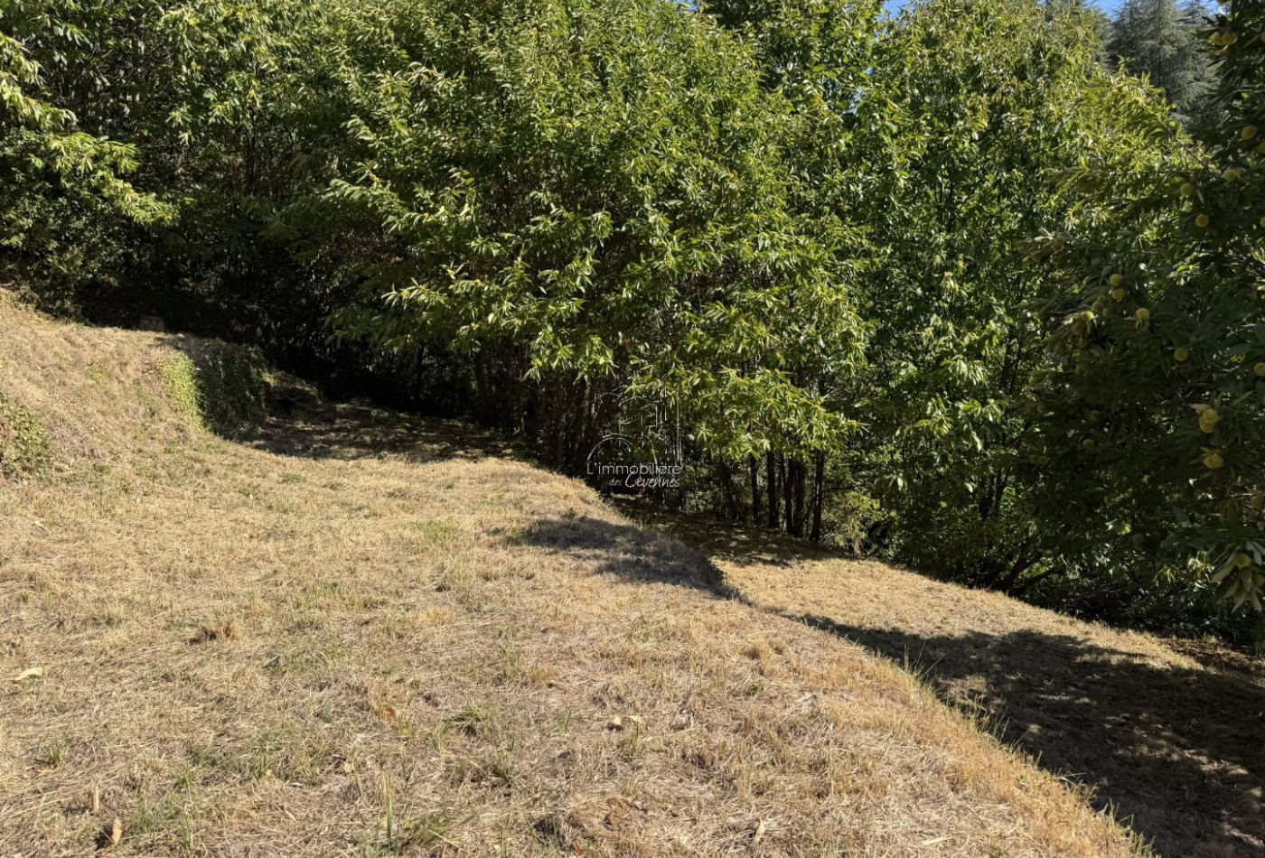 vente Terrain constructible Val D'aigoual - Photo 9