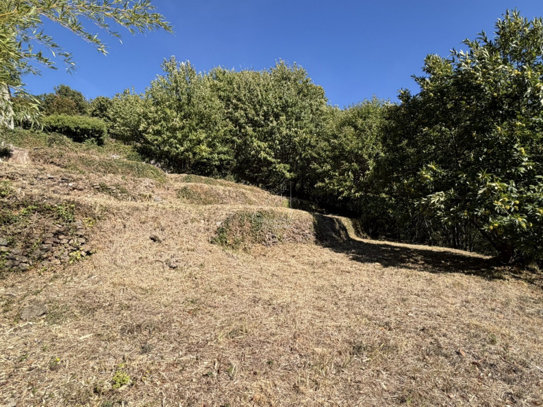 vente Terrain constructible Val D'aigoual - Photo 5