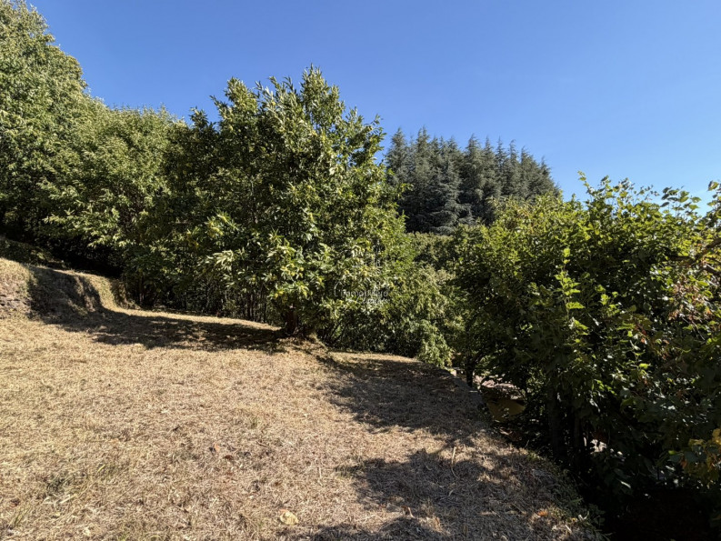 vente Terrain constructible Val D'aigoual - Photo 6