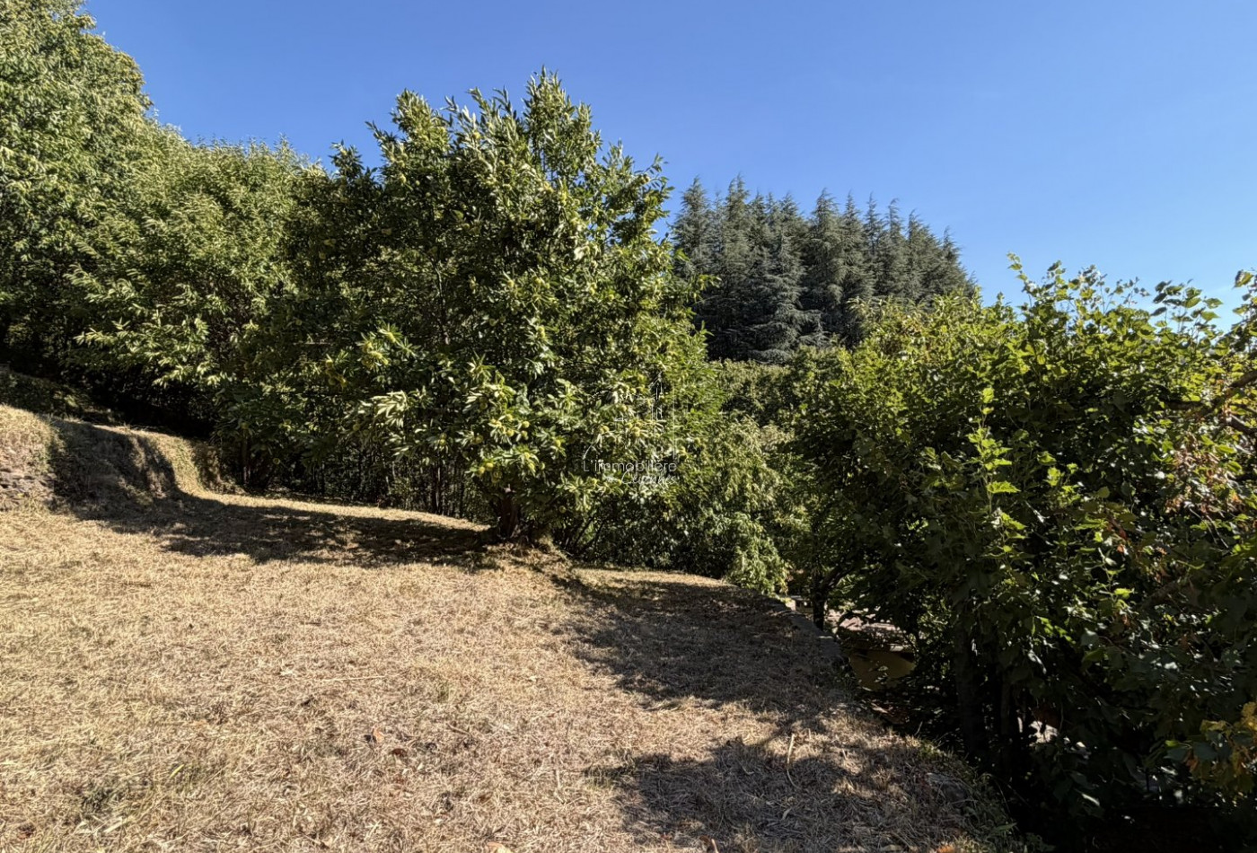 vente Terrain constructible Val D'aigoual - Photo 6