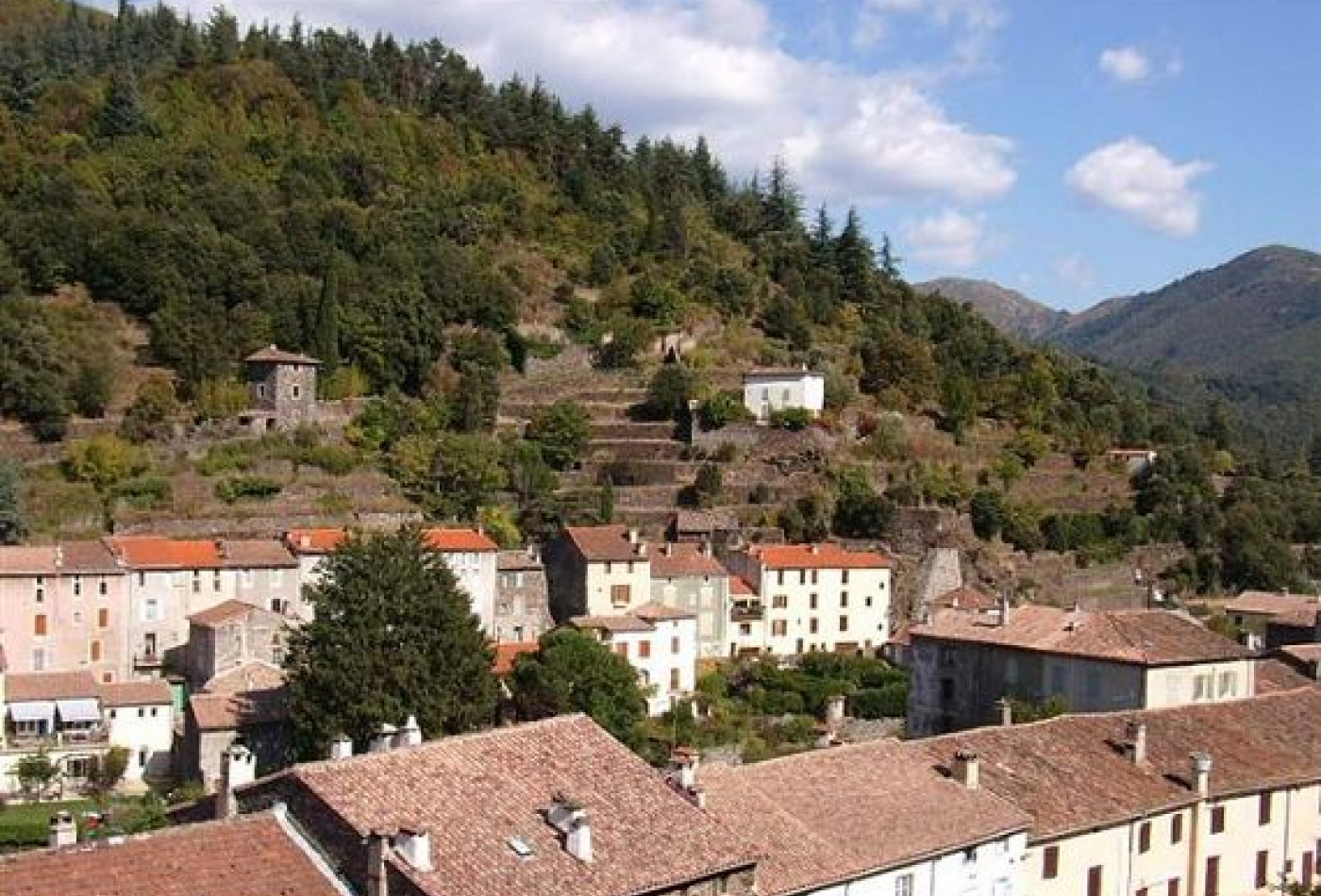 vente Maison de campagne Valleraugue - Photo 1