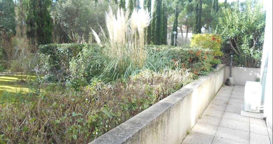 location Appartement Montpellier