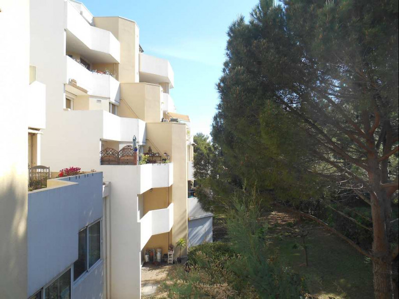 location Appartement Montpellier - Photo 5